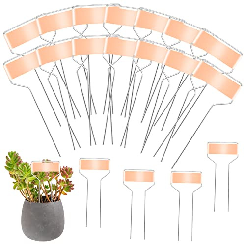 20 Stück Pflanzenetiketten Metall, 15cm Pflanzenetiketten Wetterfest Kupfer Gemüse Gartenetiketten Pflanzenschilder für Topfpflanzen Kräuter Blumen Gemüse Drinnen und Draußen