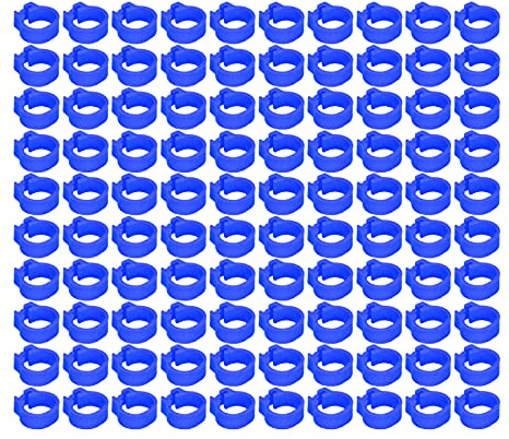 100 Stück 8 Mm Tauben-Identifizierungsringe – Beinbänder für Brieftauben – Keine Markierungen, Offenes Design – Langlebige Fußringe für Vogelmanagement und Identifizierung