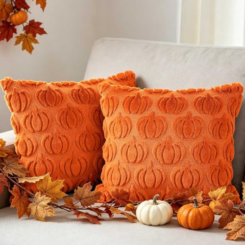 Benjia Fall 16x16 Throw Pillow Covers Set of 2, Autumn Rust Pumpkin Throw Pillow Cases Soft Plush Faux Fur Wool 40 x 40 cm Autumn Cushion Case for Indoor Home Bedroom Couch Sofa Decor (Orange)