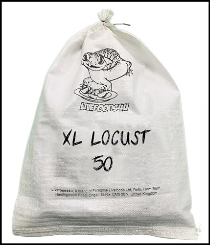 Livefoods4u Extra Large Live Locusts 35-50mm Bag of 50 | Reptile Food XL
