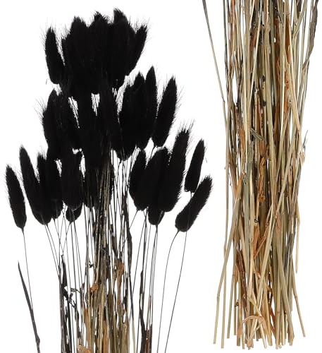 PERSELOSO 60 Stück Getrocknete Hasenschwänze als Natürliche Hochzeitsdekoration aus Getrockneten Blumen in Schwarz Elegante Deko für Party und Fotoshootings