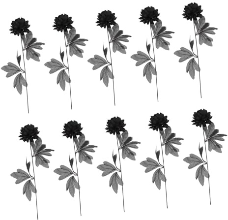 Amosfun 10 Pièces Fleur Artificielle Noire Fausse Rose Bouquet de Dahlias en Soie décoration d'halloween décoration d'intérieur décor d'halloween Décor de Mariage Accessoires de Fleurs