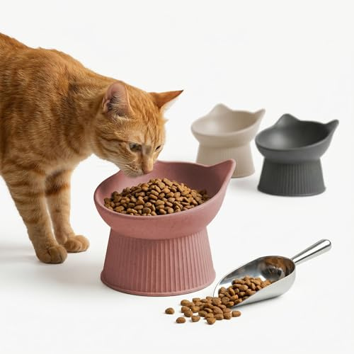 PiuPet® Upphöjd kattmatskål med 15° lutning I Ergonomisk matskål för våt- och torrfoder I morrhårsvänlig I halkfri I diskmaskinssäker I mot kräkningar (Rosa)