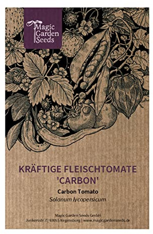 Violette flache Fleischtomate 'Carbon' (Solanum lycopersicum) 10 Samen