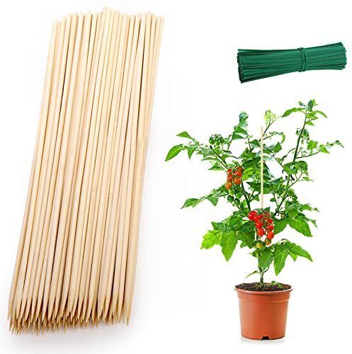 Frcctre 200 Stück 40.6 cm Pflanzenstütze Bambus, Bambus-Pflanzstäbe mit 200 Stück 10.2 cm Drähten, Pflanzengarten-Sticks Holzschild Post Garten Pflanzenstütze für Tomaten, Topfpflanzen, Handwerk