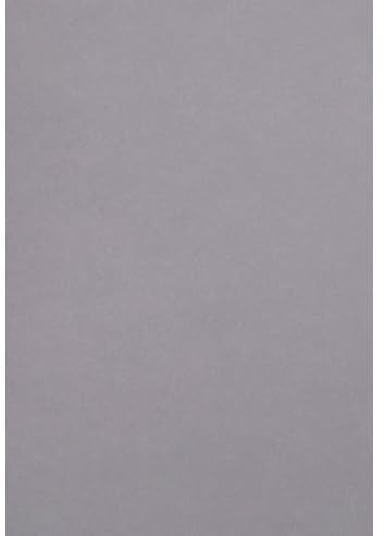 Netuno 50x farbiges Tonpapier Grau DIN A4 21 x 29,7 cm 120g Malmero Schiste graues Bastelpapier farbig bedruckbar Farbpapier bunt Grau-Töne hochwertig für Broschüren Einladungen Basteln