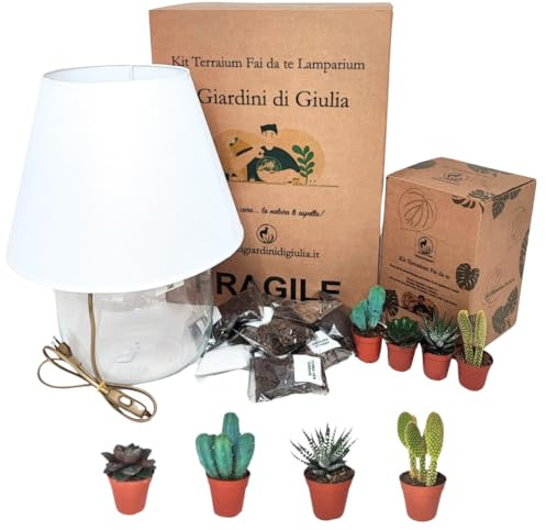 I Giardini di Giulia | Kit Terrarium Lamparium grande con plantas suculentas | Jarrón de cristal Ø23,5 cm con pantalla incluida | Incluye sustratos, musgo, accesorios y terrario DIY