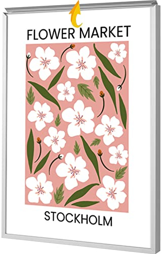 24x36 Poster Frames, Plexiglass, Silver Aluminum Snap Frame, Front-loading Frame for Wall (1PCS)