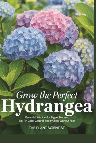 Grow the Perfect Hydrangea: Essential Wisdom for Bigger Blooms, Soil pH Color Control, and Pruning Without Fear