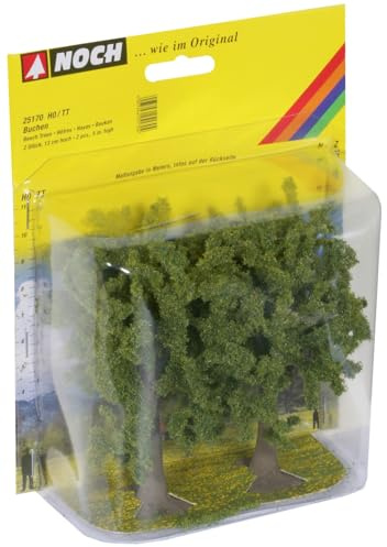 25170 Buchen 13 cm hoch (2 Stück)