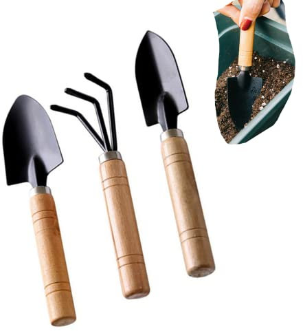 Lot de 6 mini outils de jardinage pour transplantation de plantes succulentes, outils de transplantation de bonsaï, outils pour plantes succulentes, herbes