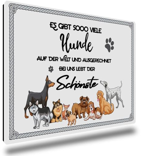TRIOSK Kühlschrankmagnete Sprüche Tiere Magnet Hund lustig mit Spruch Es gibt so viele Hunde Hundemotiv Geschenk für Hundebesitzer Hundeliebhaber Kühlschrank stark eckig groß 85x55 mm