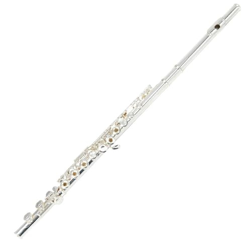 Classic Flûte Traversière Flûte À Double Usage Plaquée Argent À 16 Trous Clé E Trou Ouvert Niveau De Performance Flûte Instrument(Bag B)