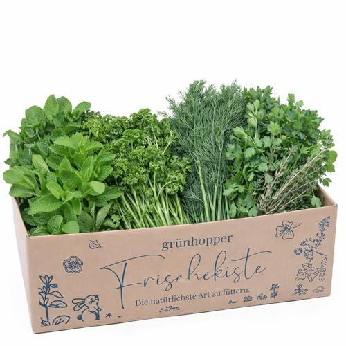 Frischekiste Gartenkräuter 2 kg