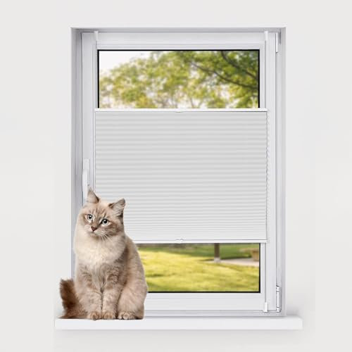 Plissee nach maß 30 x 200 cm Blickdicht Sichtschutz Sonnenschutz Plissee Klemmfix Rollo inkl. Befestigungsmaterial für Fenster & Tür, Weiß