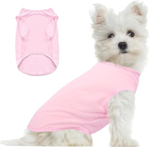 Maglia estiva per cani, giubbotti refrigeranti per cani, maglietta UV per cani, costume per cani, maglietta per cani, maglietta per animali domestici per cani di taglia piccola e media e gatti