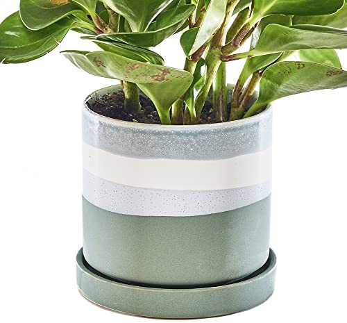Chive Maceta de cerámica 'Minute' - Bonitas macetas suculentas Coloridas de 5 Pulgadas para Plantas de Interior y Exterior, Hermosa decoración Moderna de Cocina de Granja, Color Verde Mate