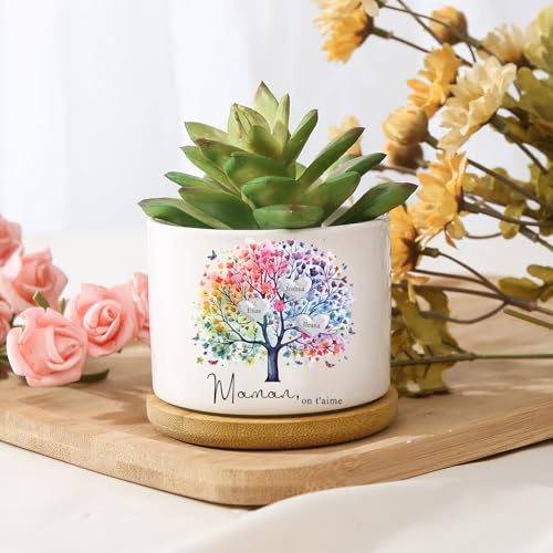 Presentimental Regalo Dia de la Madre Maceta de Cerámica Personalizada Árbol de la Vida con 1-8 Nombres Regalos para Mamá Abuela (D)