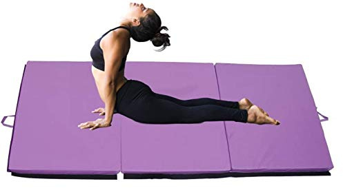 Pro-Gymnastics Exercise Mat 6’x4’ Tri-Fold 2 Thick Folding Gymnastics Tumble Mat, 2 Carrying Handles for Yoga, Aerobics, Mixed Martial Arts, Home Gym Protective Flooring Workout Mat Purple
