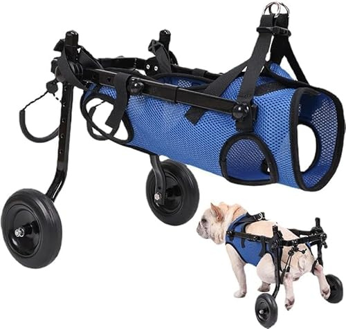 Silla de ruedas para perros, perro discapacitado, carrito de asistencia para perros discapacitados, carrito para perros, ligero, tamaño ajustable, adecuado para perros pequeños y medianos (Azul -M）
