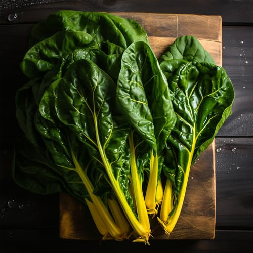 25 pz acquistare semi di bietola - resistenti per il giardino insoliti esotiche