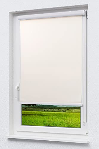 LYSEL Outlet - Kassettenrollo Tageslicht Elfenbein, (B x H) 50cm x 175cm in beige/Elfenbein