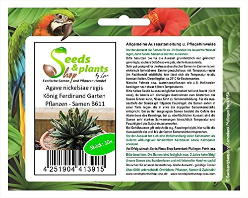 Stk - 10x Agave nickelsiae regis König Ferdinand Garten Pflanzen - Samen B611 - Seeds & Plants Shop by Ipsa