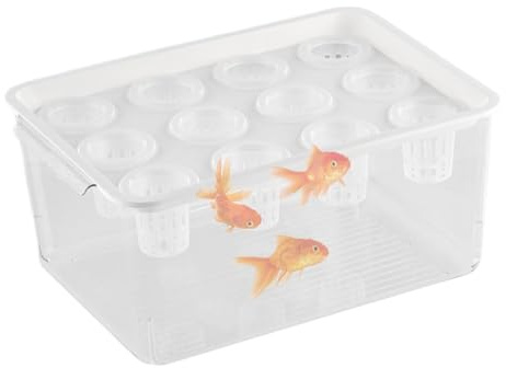 Aquaponischer Pflanzer und Aquarium für Betta -Fische, Betta Fischtank | Pflanzen Pflanzgefäß | Fischtank fördert eine gesunde hydroponische Umgebung für die Tischdekoration