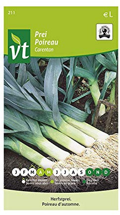 Leek Carentan Seeds per gram - Many Nutritional and Culinary Qualities - 3 g - Seeds per gram: 350