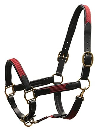 Horsecode Halfter Burgundy Gold VB