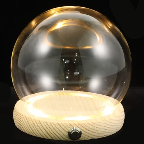 MAGICLULU 1 Jeu Ornements de Base en Bois Lumineux Illuminer Propagation Plantes Verre LED décoration Maison d'affichage Cloche décoration d'intérieur Transparent