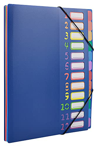 Edufun Rainbow Tab Expanding File Folder - 24 Pockets, Durable A4 Letter Size Organizer, Water-Resistant Plastic Dividers, Home/Office/School Document Holder (Blue)