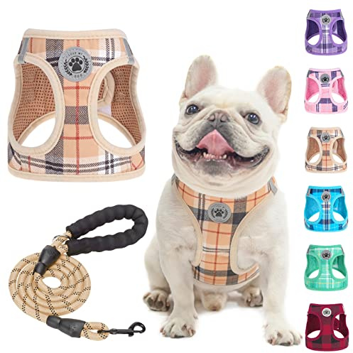 BEAUTYZOO Small Dog Harness and Leash Set,Step in No Choke No Pull Soft Mesh Dog Harnesses Reflective for Extra-Small/Small Medium Puppy Dogs and Cats, Plaid Dog Vest Harness for XS S Pets, Beige M
