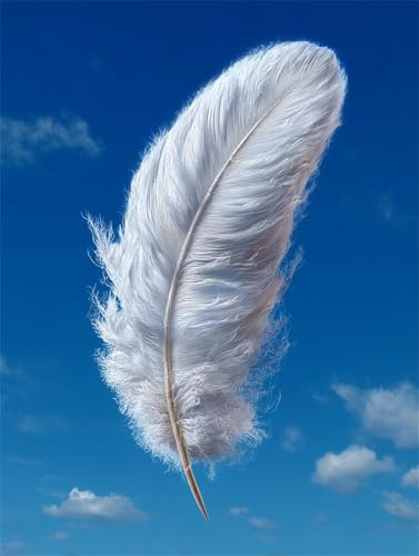 Puzzle 30 Pièces Adultes Plumes Blanches, Défis Amusants Parfait pour la Détente Créativité, Puzzle 30 Pieces 25 x 20 cm