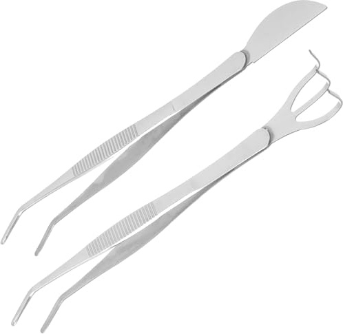 OSALADI Pinces à Bonsaï en Acier Inoxydable 2 Pièces, Pinces Courbées Multifonctions Râteau Courbé, Outil Professionnel pour Entretien Mousse, Suppression Bourgeons, Jardinage Précis