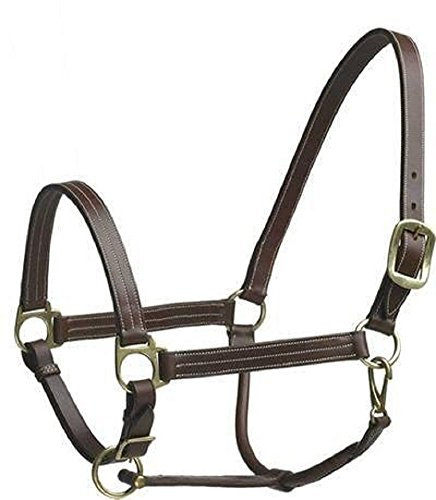 Camelot Stallhalfter aus Leder, Farbe: Braun, Größe: Cob (464283BRN-COB)