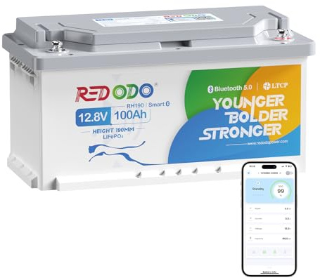 Redodo 12V 100Ah H190 Batterie LiFePO4 avec Bluetooth Fonctionnalité 1280Wh BMS 100A Batterie Lithium Protection Contre Basses Températures Hauteur 189 mm Parfaite pour Camping-Car Bateaux