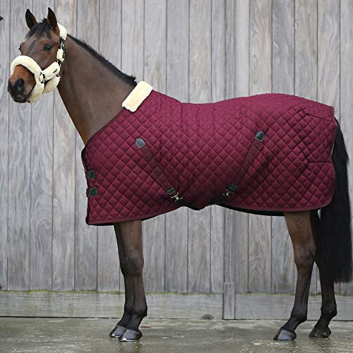 Kentucky Stalldecke 400g - Bordeaux