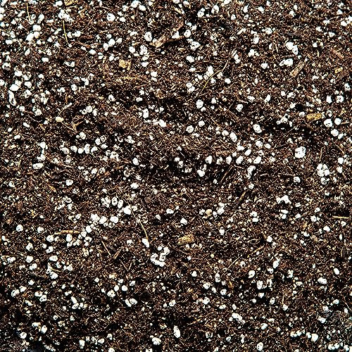 Carnivorous Plant Potting Mix - Venus Flytrap Soil, Pitcher Plant Soil, Sundew Sol, Enriched with Nutrients (2L)