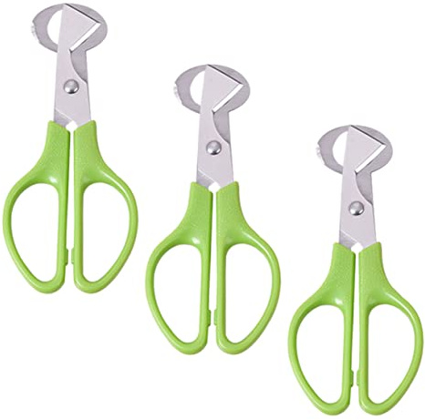 CHICAMPERA 3 pezzi per Uova Acciaio Inossidabile per Uova e Piccione Strumenti Pratici per Cucina e Feste Design e