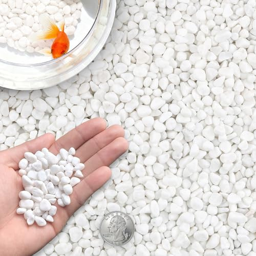 CHEOAR Weiße Dekosteine 18IB (8.2kg), 12-15mm Natürliche Weiße Steine für Garten, Vasen, Aquarium & Außendekoration, Zierkies Weiß, Steine Garten, Deko Steine Kleine, Dekosteine Weiß