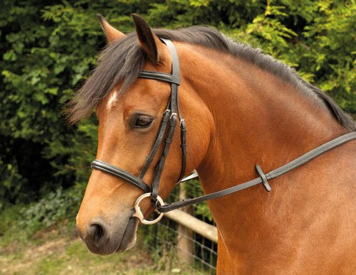 Windsor Equestrian Horses Bridle  Brown  Full