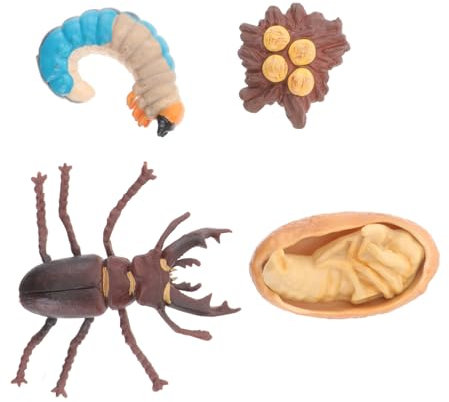 ibasenice 1 Satz Modell des Wachstumszyklus Kinder geburtstagsdeko kindergeburtstags Dekoration tierisches Wachstumsmodell Kidcraft-Spielset Spielzeug Modelle Insektenwachstumsmodell Henne