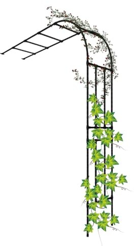 Gartenbogen Rosenbogen Halbbogen Rankhilfe wetterfest, für zur Unterstützung von Rosen, Hinterhof Rasen Patio Innenhof W60xH240cm W90xH240cm W120xH240cm ( Farbe : Schwarz , Größe : W90xH240x40cm )