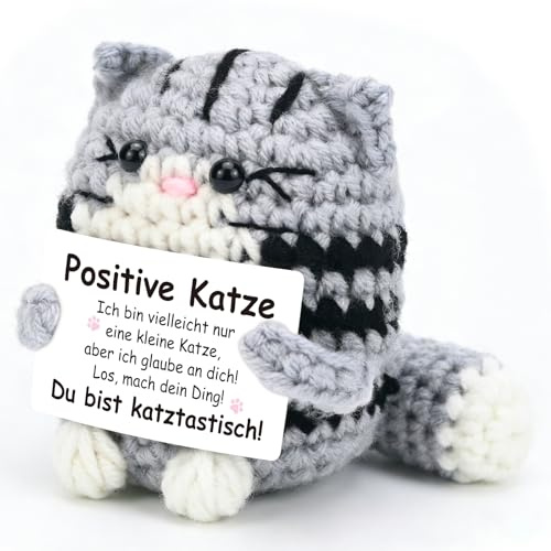 Smlper Positive Geschenke Katze, Pocket Hug Glücksbringer Katzen Kuscheltier, Gehäkelte Du schaffst das Geschenk, Emotional Support Geschenk zum Mutmacher Viel Glück Geburtstagsgeschenk für Frauen