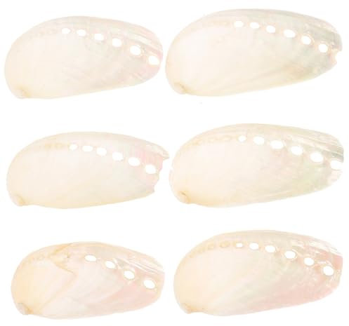 Didiseaon 6 Pièces Artisanat de Coquillages de Mariage sur la Plage Ornement de Pot de Plante Coquille dormeau daquarium décor Coquille d'ormeau Maison Coquillages d'ormeaux