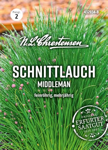 Schnittlauch Middleman feinröhrig, mehrjährig, Allium