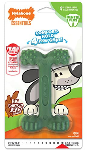 Nylabone Power Chew Textured Dental Chew Toy Ridges & Nubz Chicken Large (1 Count)