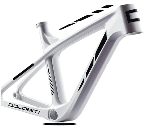 DualColorStampe Set 10 Adesivi Stickers Decal Telaio Bici Bicicletta adesivi telaio MTB Universale Protezione COD. B0170 (NERO LUCIDO)