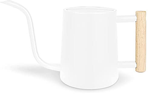 Guihydur GießKanne für Zimmerpflanzen, 35 Oz/1000 Ml Metall-Edelstahl-GießKanne mit Langer TüLle für Zimmerpflanzen,